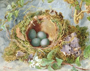 A Nest of Eggs, 1871 (se 215284 for par)